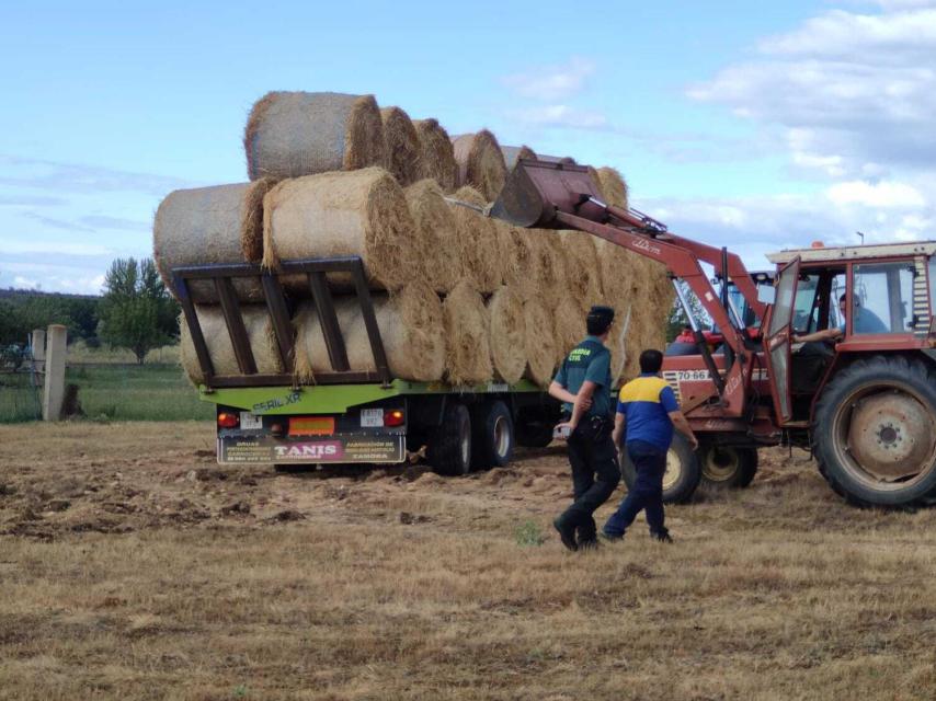 Momento de la entrega de las pacas de paja procedentes de Tábara a uno de los ganaderos, este lunes.