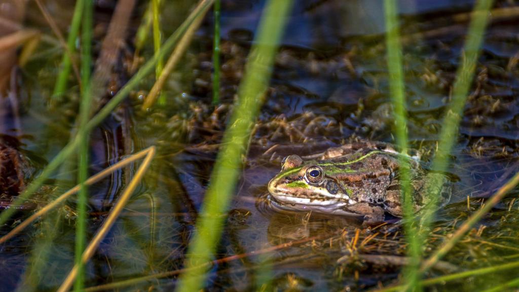 Fotografía ganadora del IV Concurso de Fotografía Digital
