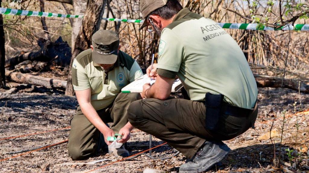 Agentes medioambientales