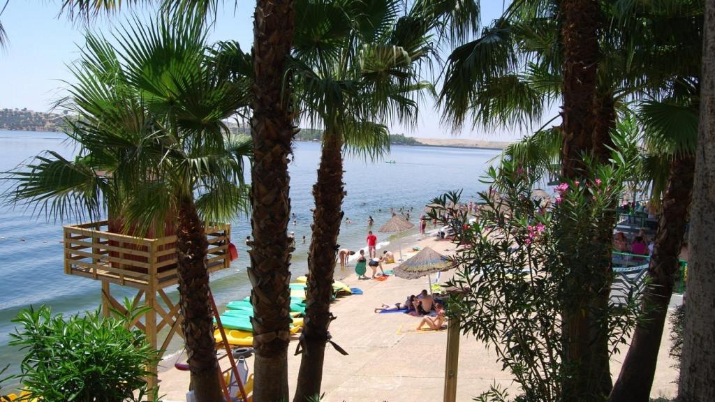 Palmeras, sombrillas y la torre del socorrista en la playa dulce de Orellana la Vieja (Badajoz), la primera de interior que obtuvo bandera azul en España.