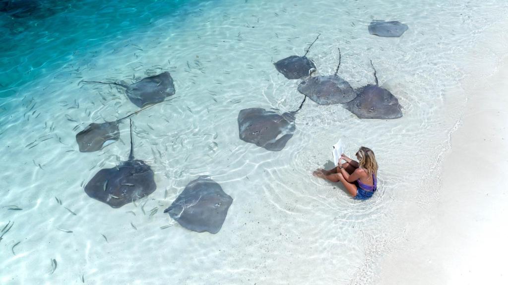 Ana Hernández Sarriá junto a varias mantas raya