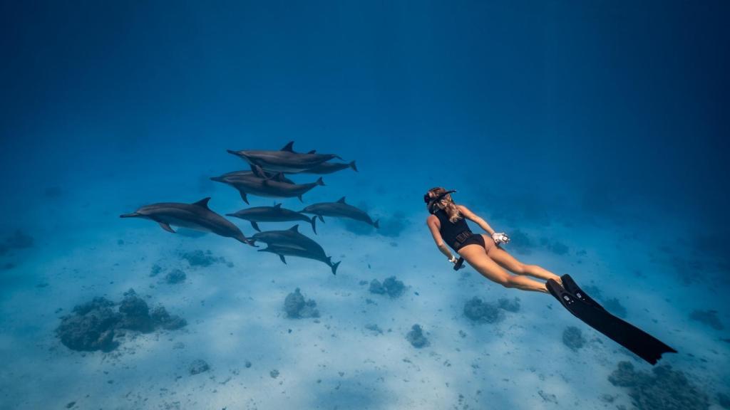 Ana Hernández Sarriá entre delfines