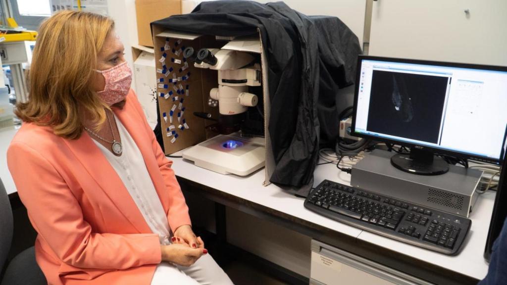 Rosa Ana Rodríguez, consejera de Educación, Cultura y Deportes. Foto. JCCM.