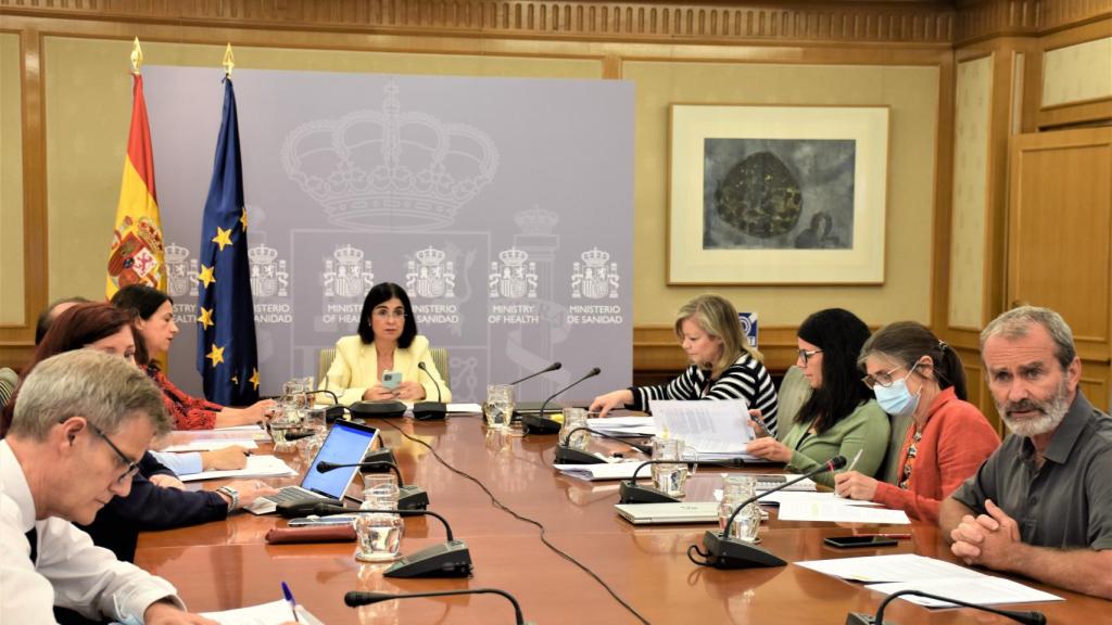 Carolina Darias en la reunión telemática del Consejo Interterritorial celebrada este miércoles.