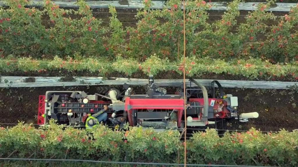 Los robots son capaces de acelerar la producción en las cosechas.