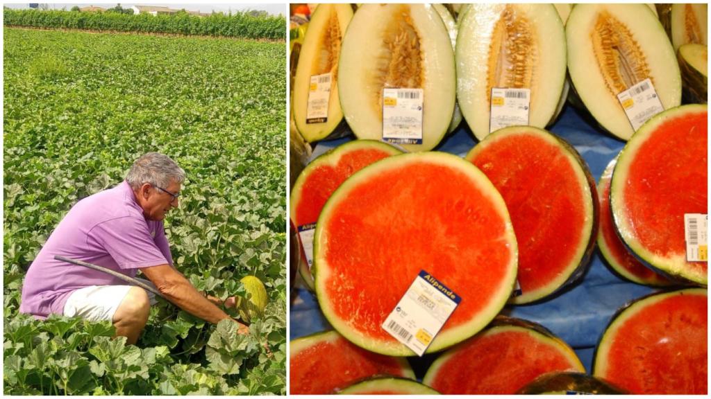 A la izquierda Manuel Martín, productor de melones de Asaja Cartagena, y a la derecha, las sandías y melones en un lineal.