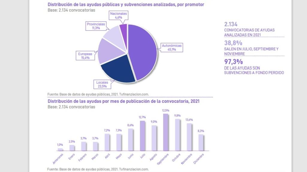 Distribución de las ayudas por tipo de promotor.