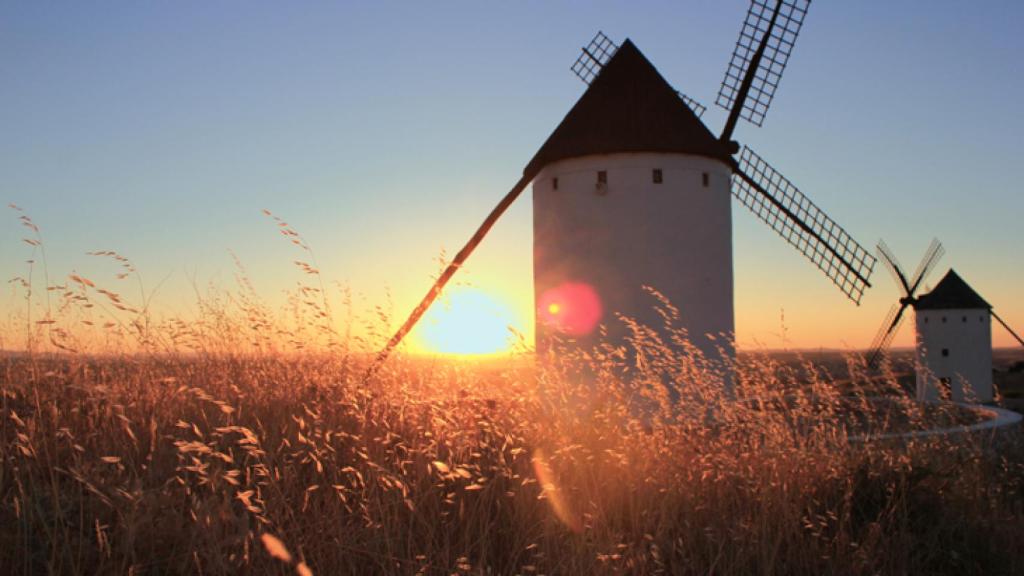 Molinos de Alcázar de San Juan.