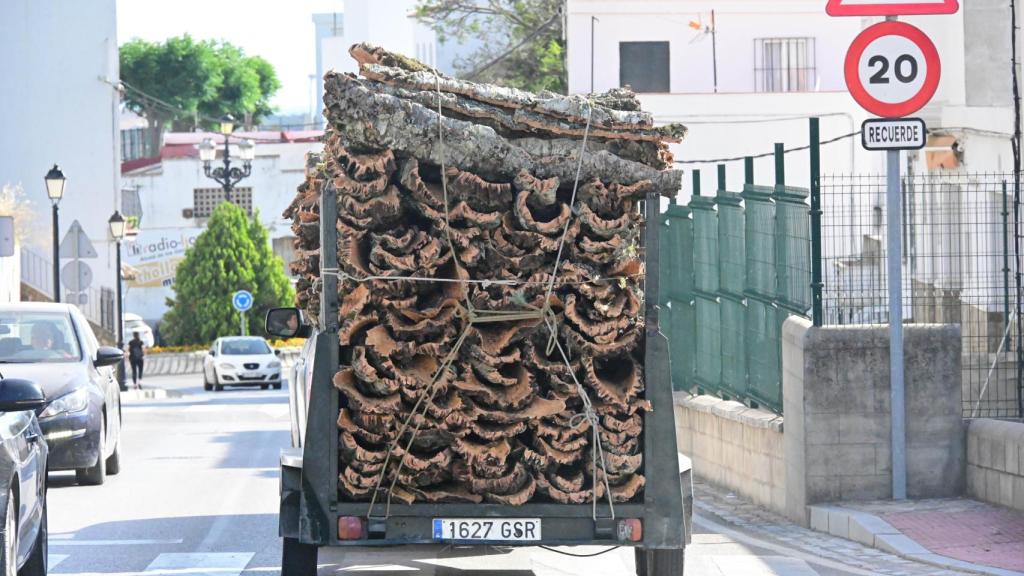 Es época de descorche del alcornoque y un camión con corcho recorre las calles del pueblo.
