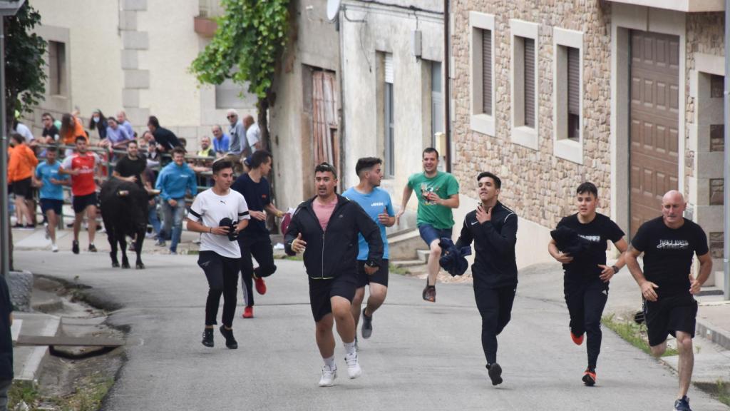 Toro del cajón de San Juan en Hinojosa de Duero 2022