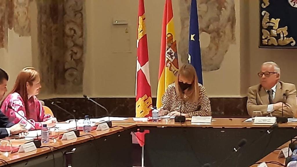 La Mesa de la Tauromaquia autoriza el Torneo del Toro de la Vega