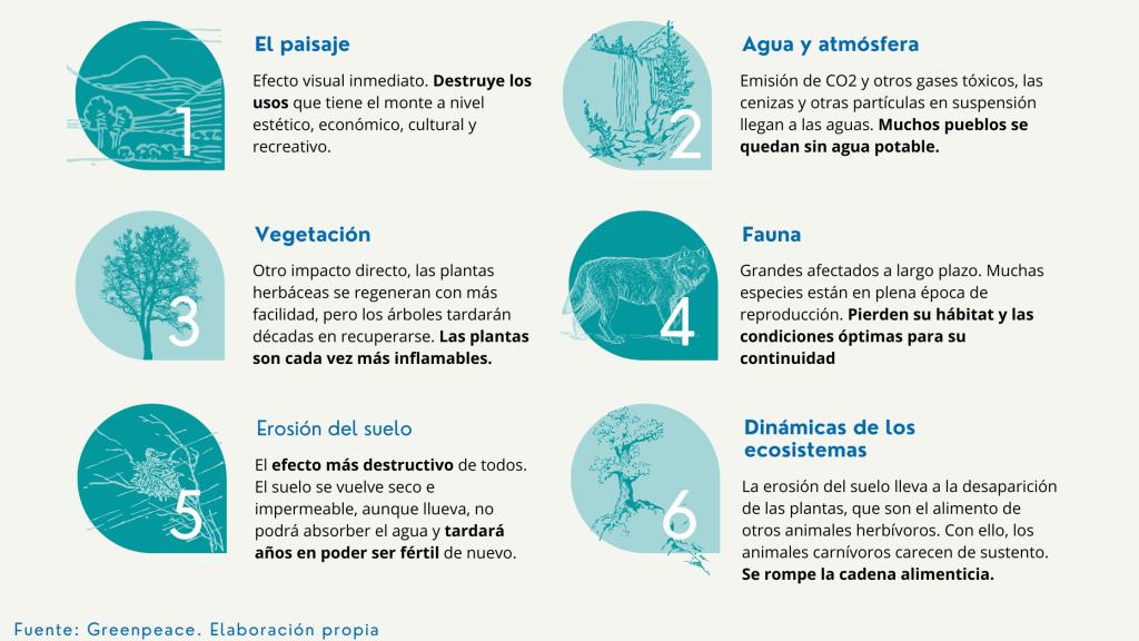 Infografía del impacto de los incendios forestales