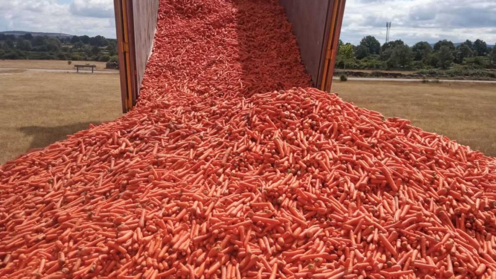 Reparto de alimentos a las ganaderías afectadas por el incendio en la Sierra de la Culebra y el Valle de Tera