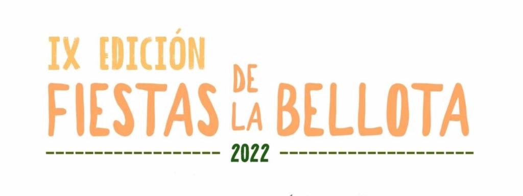 Fiestas del Barrio de La Bellota.