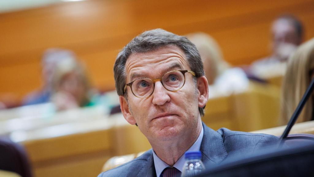 El líder del PP, Alberto Núñez Feijóo, durante una sesión plenaria en el Senado.
