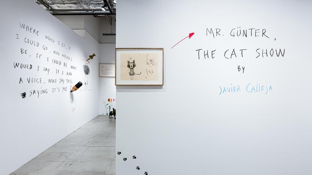 Otra imagen de la muestra de Javier Calleja.