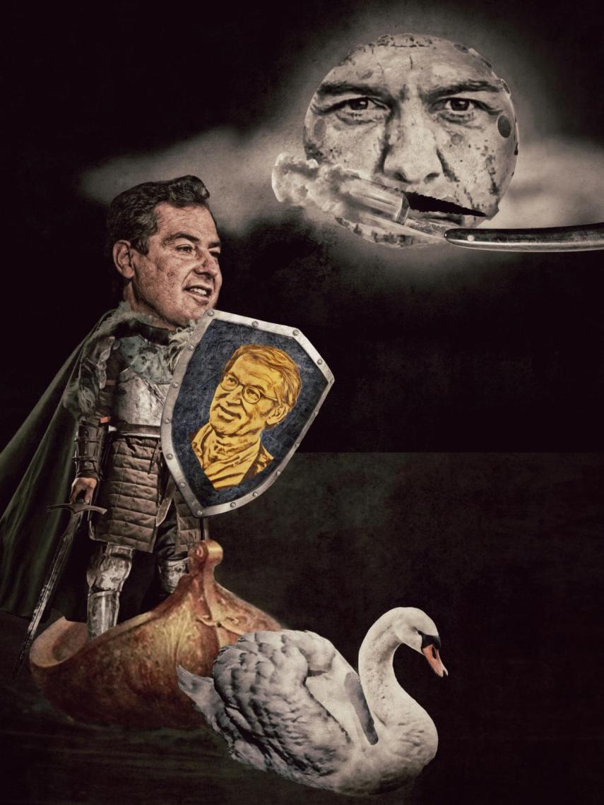 Cisne blanco, perro andaluz