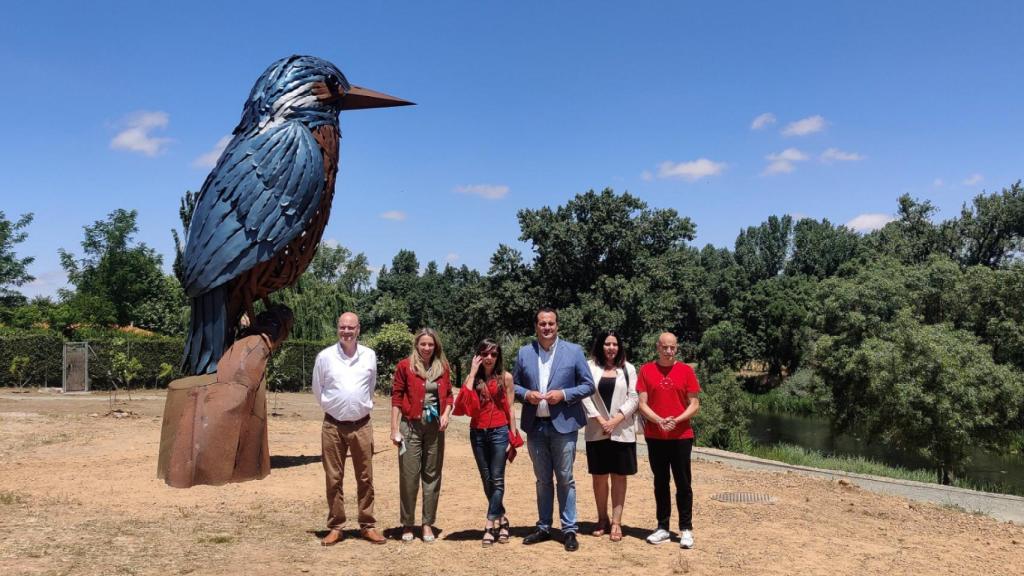 Martín Pescador en Santa Marta de Tormes