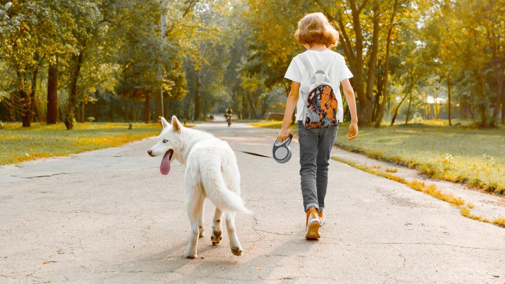El abuso se produjo en la calle cuando la menor paseaba a su perro.