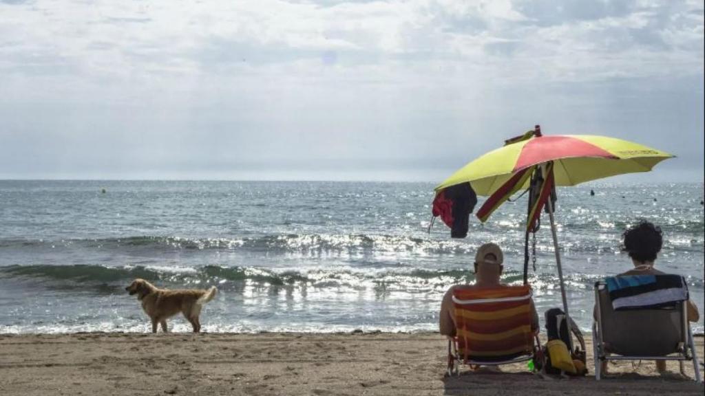 La playa de Agua Amarga en Alicante.