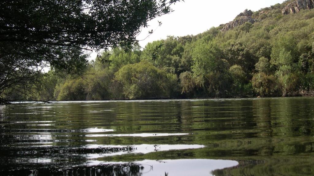 Tabla de la Yedra, Piedrabuena (Ciudad Real).