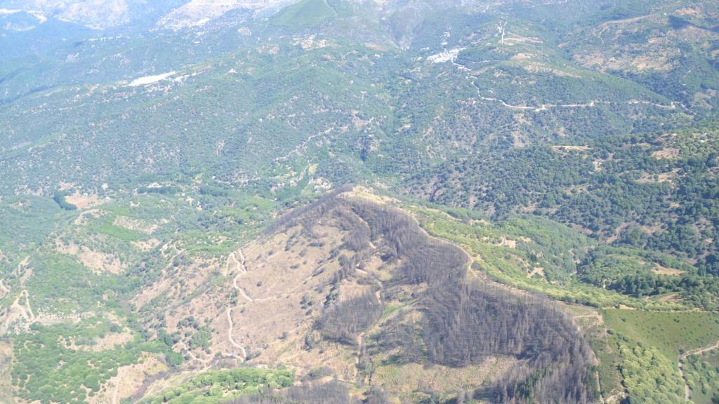 Vista aérea de la zona afectada por las llamas.
