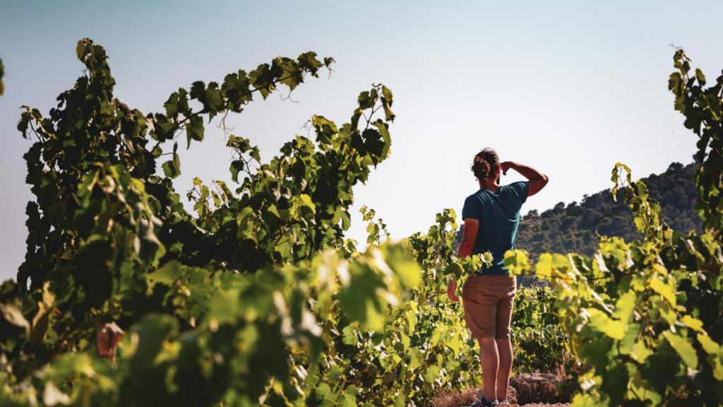 Valtravieso Júcar y Jumilla