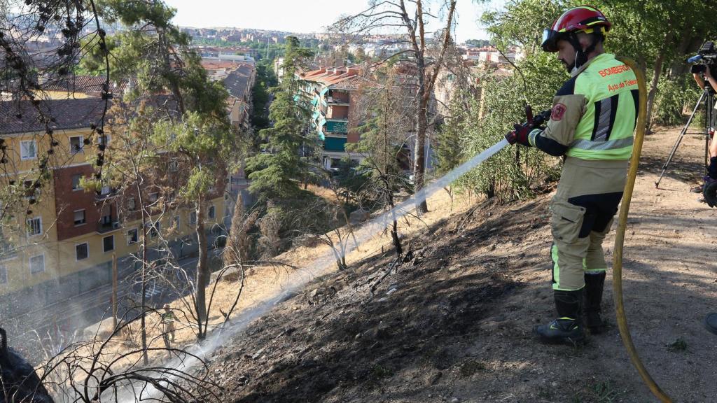 Incendio en el Parque de la Vega de Toledo. Foto: Óscar Huertas.