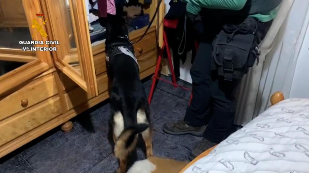 Las investigaciones tuvieron su origen en un apuñalamiento en la provincia de Guadalajara