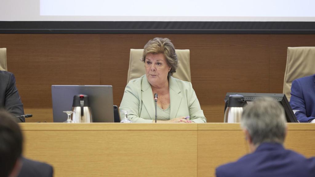 La presidenta del Tribunal de Cuentas, Enriqueta Chicano, comparece en la Comisión para las Relaciones con el Tribunal de Cuentas del Congreso.
