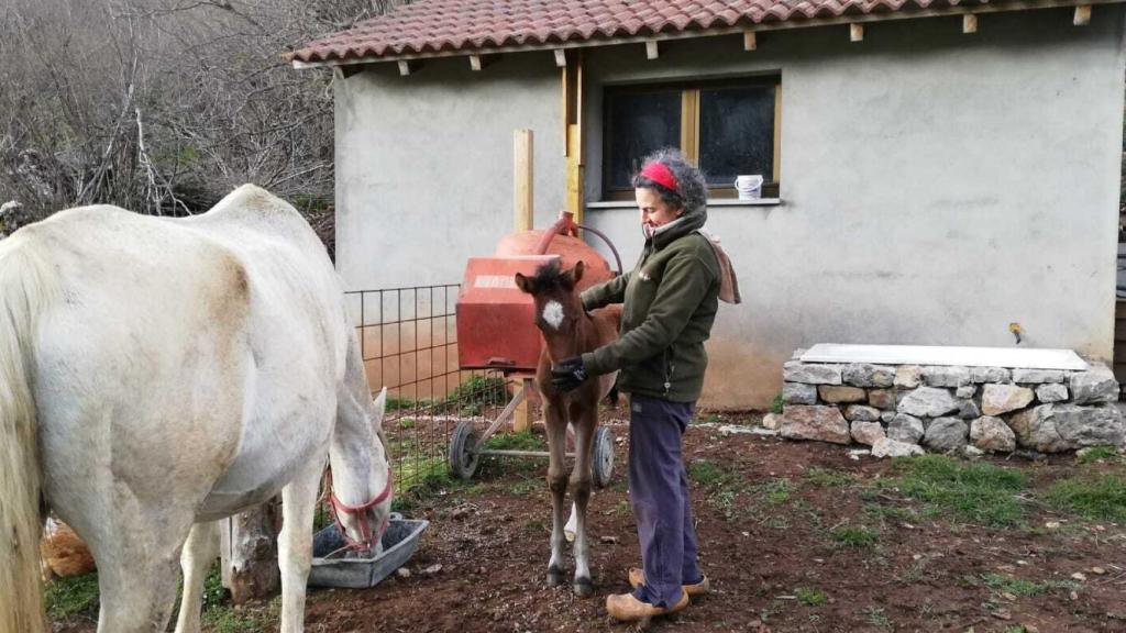 Guillermina en su granja junto a uno de sus animales