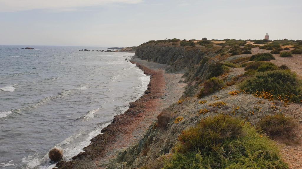 Rafa Mas destaca que en la isla están presentes la mitad de las especies de flora y fauna del Mediterráneo.