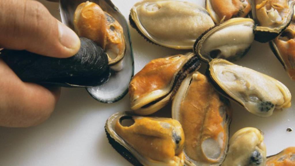 Mejillones.