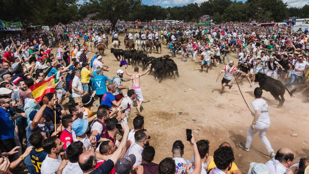 Celebración de la fiesta de La Saca en Soria