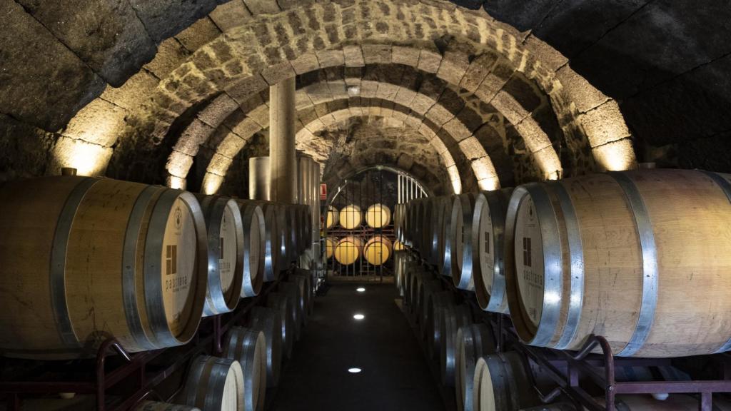 Bodegas Pastrana cueva con barricas