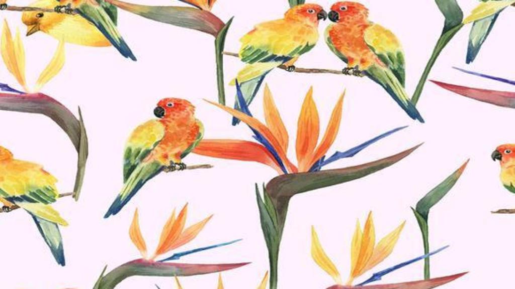 Supera el acertijo visual en tiempo récord: localiza el ave amarilla.