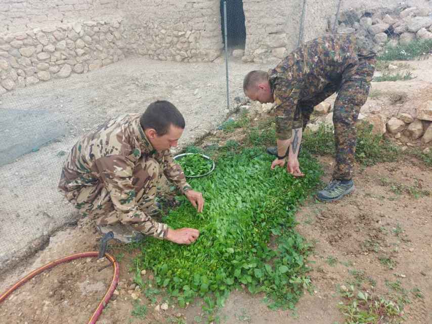 Los voluntarios trabajando en el huerto.