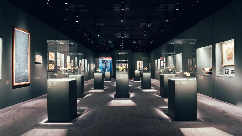 Vista de la exposición