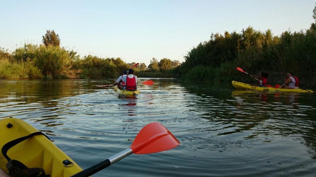 Rutas en kayak para descubrir las maravillas de la provincia.
