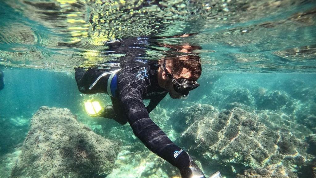 En Educare Aventura ofrecen todo tipo de actividades relacionadas con la naturaleza.