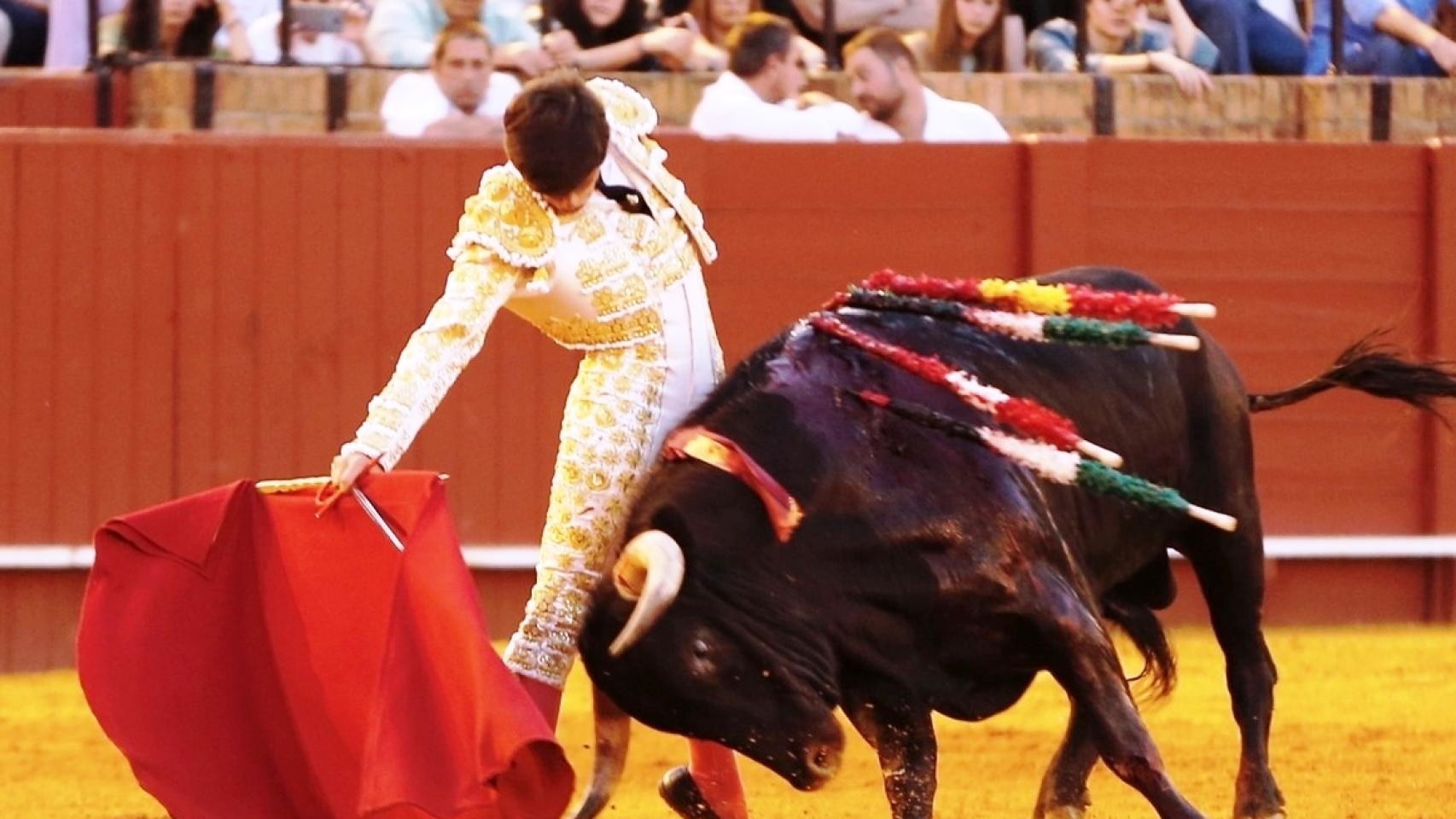 Novillada en la Maestranza de Sevilla