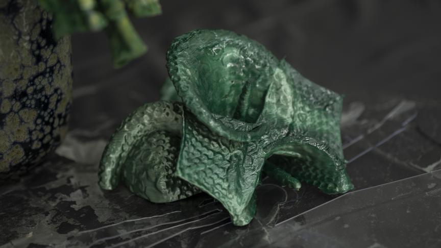 Una de las formas creadas por Inoriza