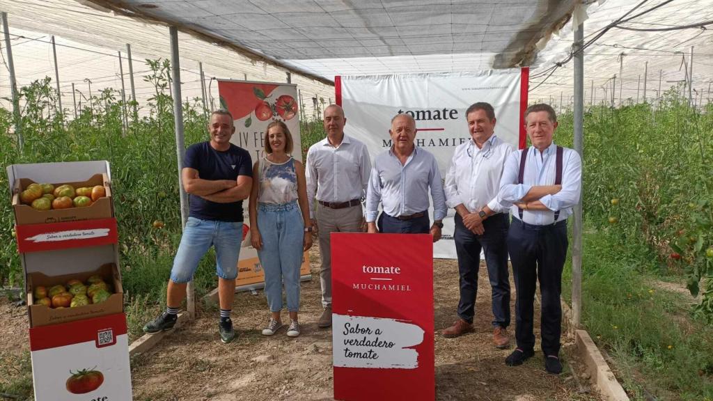 Presentación del primer corte del tomate de Muchamiel.