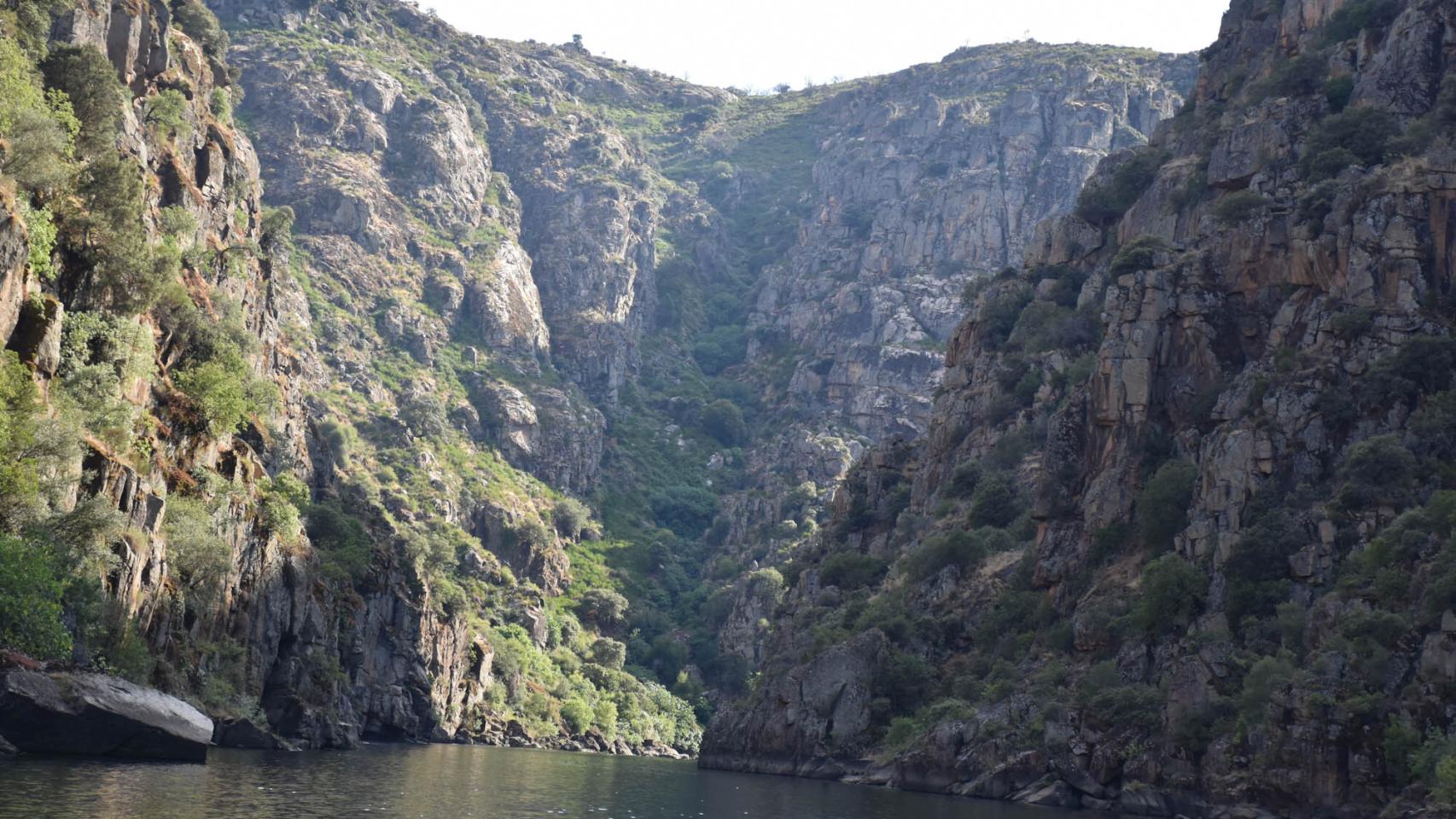Imágenes del viaje en el Barco Arribas do Douro