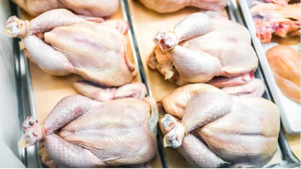 Pollos en una pollería.