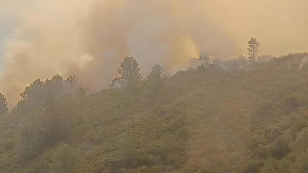 Incendio en Villanueva del Conde (Salamanca)