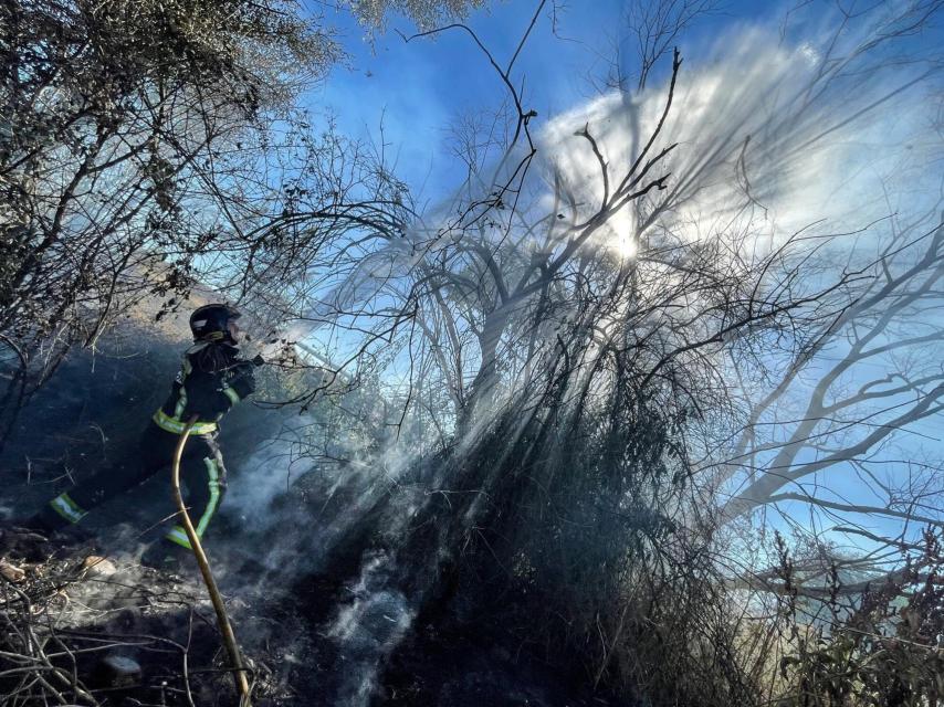 Los Bomberos de León sofocan el incendio de este sábado que afectó a la LE-11.