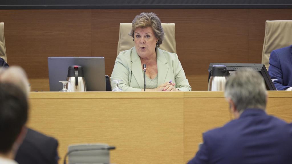 La presidenta del Tribunal de Cuentas, Enriqueta Chicano, comparece en una comisión en el Congreso de los Diputados.