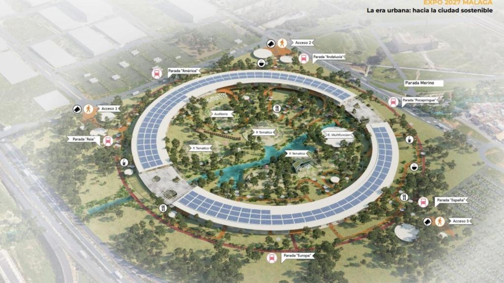 El anillo, al detalle.