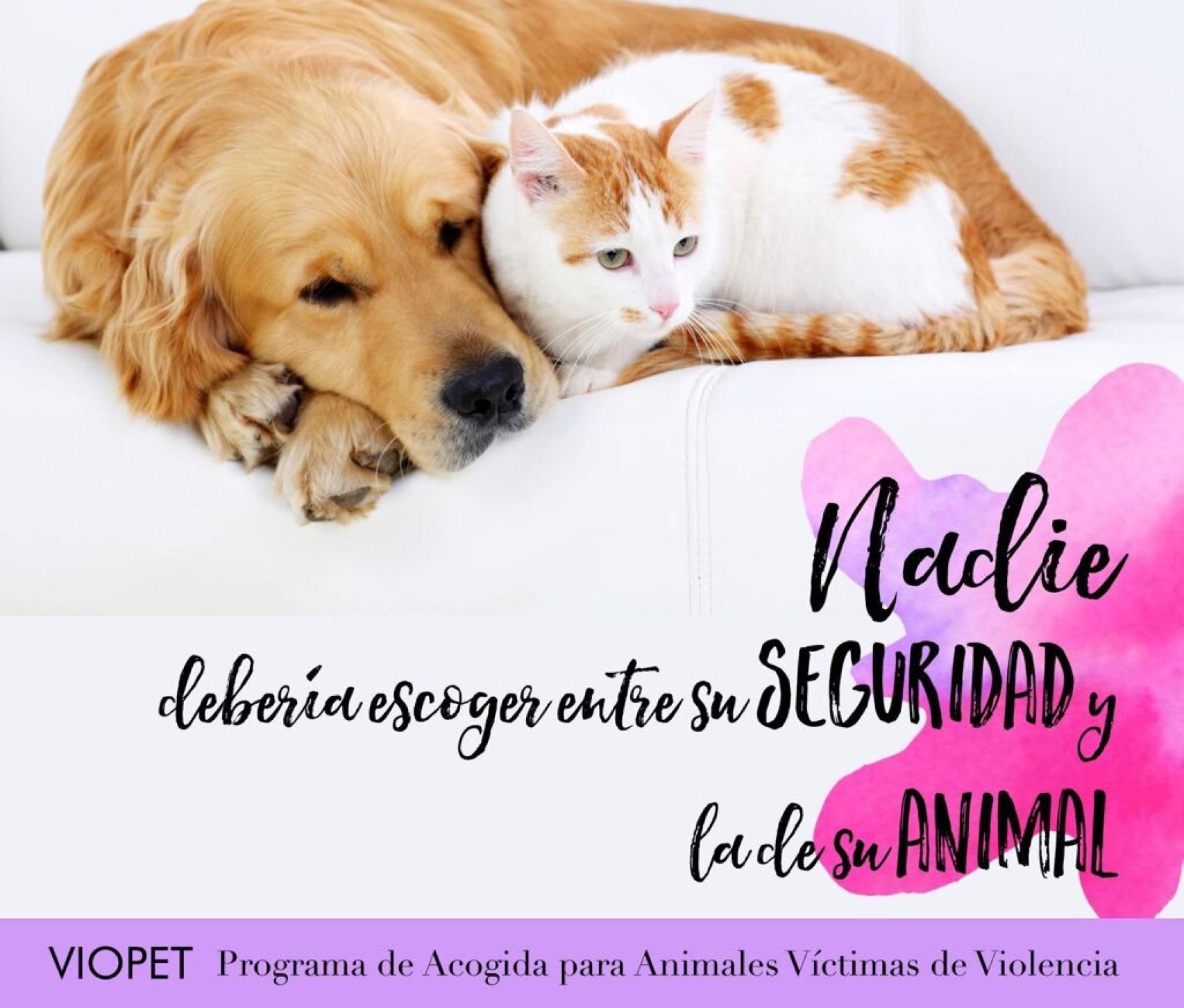 Cartel del Programa Viopet